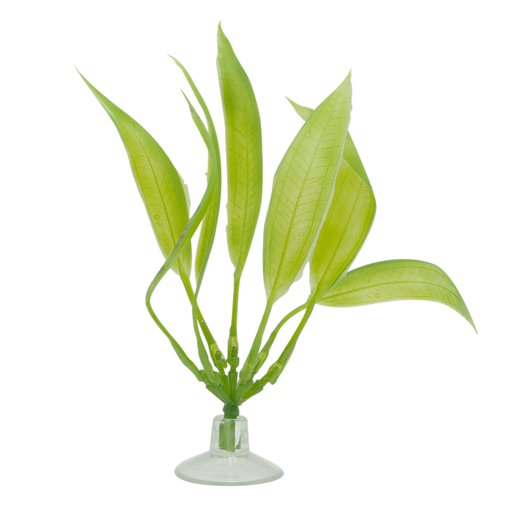 plastic amazon sword plant Marina Betta Kit Amazon Sword Plant With Suction Cup