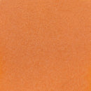 OCEAN NUTRITION BRINE SHRIMP INSTANT BABY BRINE SHRIMP