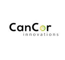 CanCor CrinkleBall Cat Toy