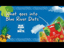 Blue River Diets Pineapple Crush Gecko Diet 60g   Made in the UK