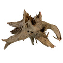 Eucalyptus Root - Medium - For Aquariums or Terrariums