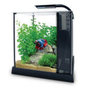 Fluval Betta Premium Aquarium Kit 2.6 US Gal / 10L - LED - Pre-Set Betta Heater