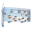 Fluval Multi-Chamber Holding & Breeding Box - 26 x 14 x 12 cm (10.25 in L x 5.5 in W x 4.75 in H)