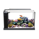 Fluval SEA EVO Marine Aquarium Kit - 19L (5 US gal) - Saltwater Glass Aquarium Kit
