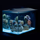 Fluval SEA EVO Marine Aquarium Kit - 52L (13.5 US gal) - Saltwater Glass Aquarium Kit