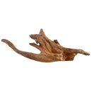 Kapas Root - Medium - For Aquariums or Terrariums