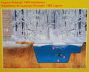 Laguna Pond De-Icer