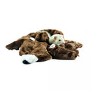 Marshall Ferret/Small Animal Bear Rug