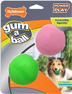 http://philspets.ca/cdn/shop/products/Nylabone-Power-PlayGum-a-Ball-Dog-Toy-phils-pets-dog-supplies-toys-accessories-cat-dog-1.jpg?v=1665238971