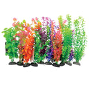 Plant on Rock Mixed - Large  - Plant