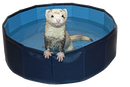 Marshall Ferret 24" Swimming Pool - Portable - Easy to Set Up