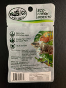 ProBugs Eco-Fresh Insects - Black Soldier Fly Larvae - BSFL - 20g