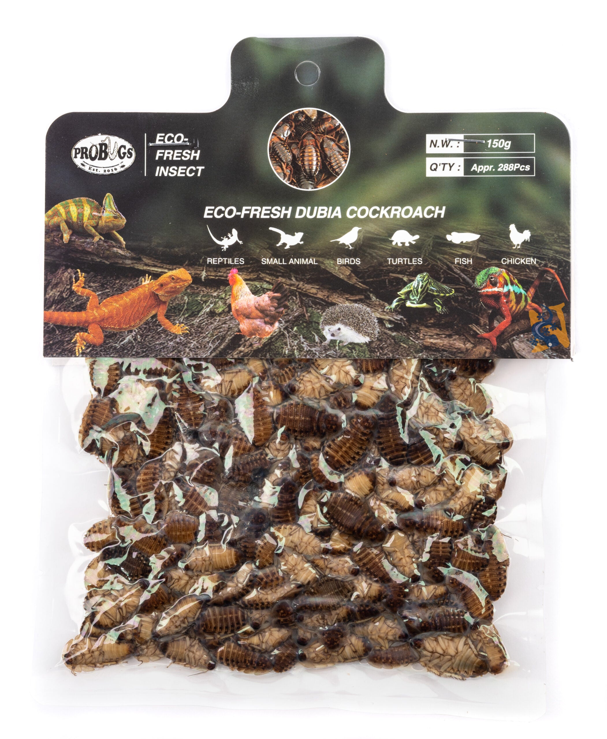 View of ProBugs Eco-Fresh Insects - Dubia Cockroaches - 150g