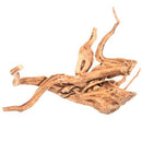 Spider Root Wood - Small - For Aquariums or Terrariums