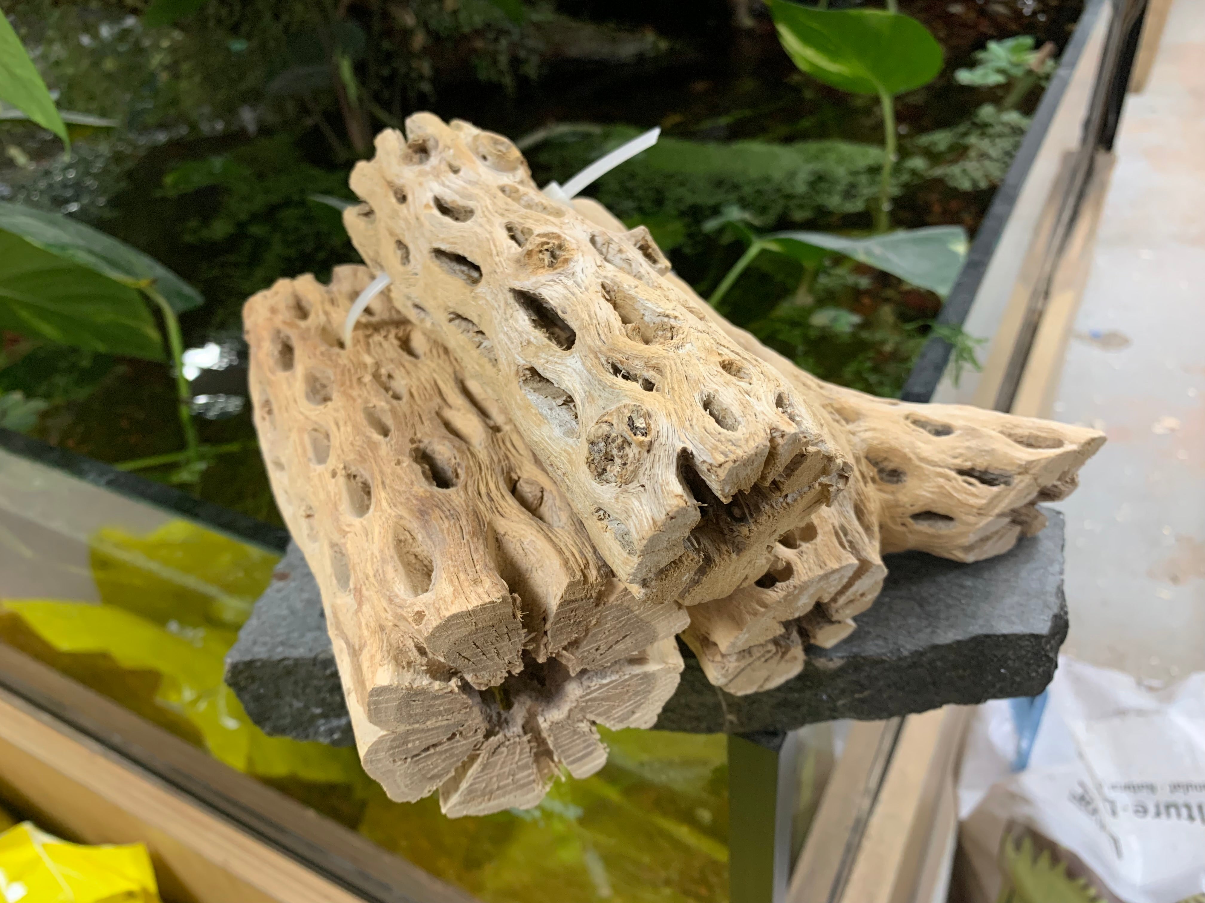 Invertebrate Accessories