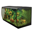 Fluval FLEX Aquarium Kit - Black - 123 L (32.5 US Gal)