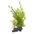 Flowering Water Sprite 11"