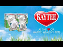 Kaytee LED Run-About Ball - 7" Green - LED Lighted Fun!