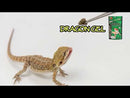Hikari Dragon Delite - 7.0 oz