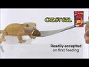 Hikari Herptile CrestGel 50g - Ready To Use Gel For Insect-Eating Reptiles
