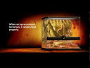 Exo Terra Advanced Paludarium & Rainforest Terrarium - PT2606 - Small X-Tall - 45 W x 45 D x 90 H cm (18” x 18” x 36”) - DOES NOT SHIP