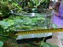 Dip & Pour Multi-Purpose Large Container - Tom's Aquatics (DISCONTINUED)