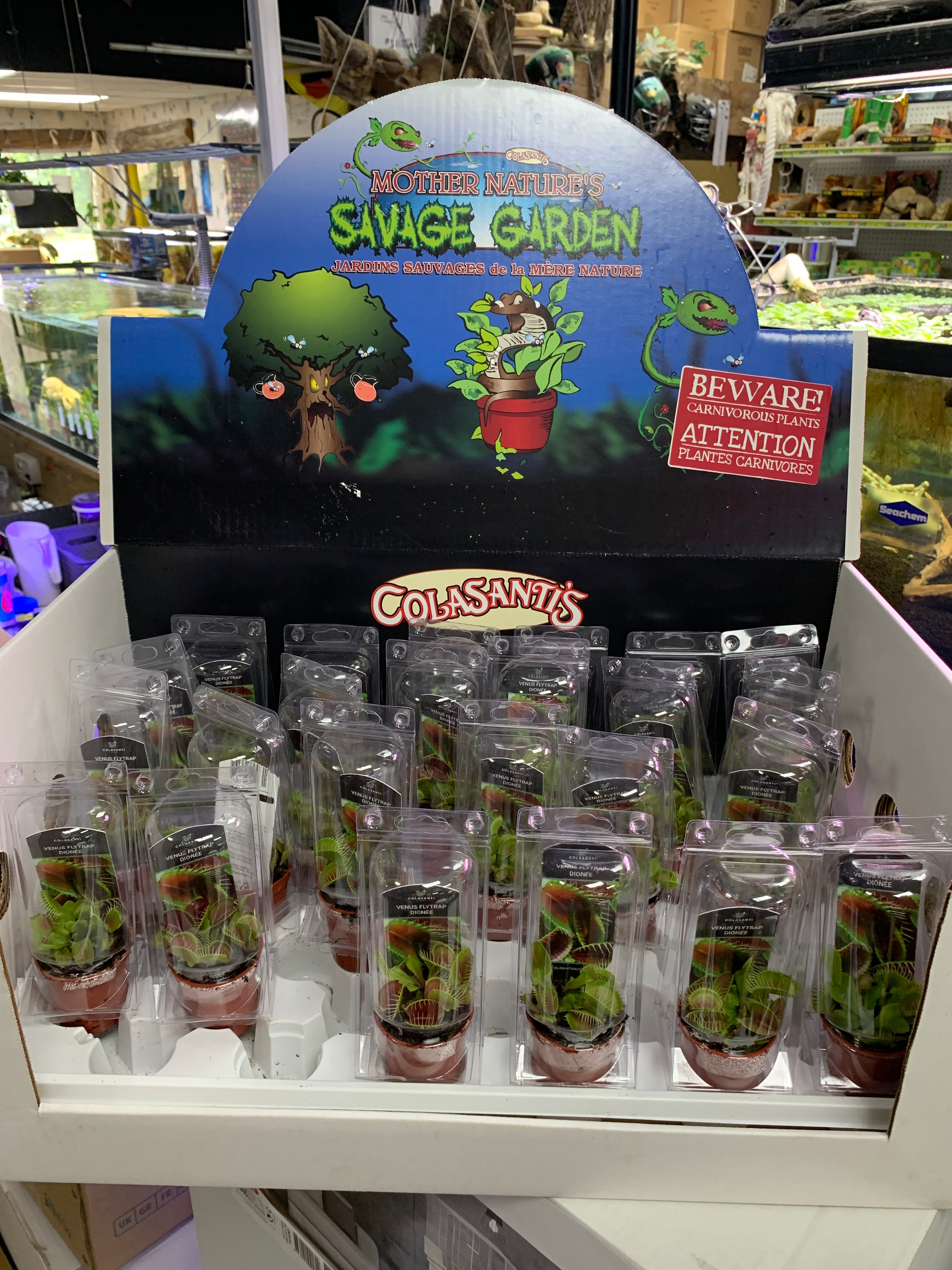 venusflytrap-phils-pets-plants