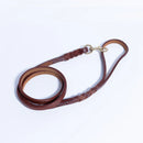ANGEL "Braided" Leather Leash (assorted color and size) 24" to 72"