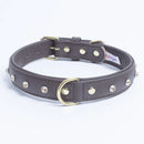 ANGEL Athens Brown Leather Dog Collar with Beige Diamond Bling – Genuine Leather, Assorted Sizes