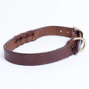 ANGEL "Braided" Leather Collar 26" x 1.25" (Brown)