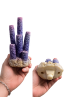 UT Aqua Della Purple Barnacle Ornament