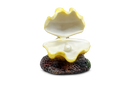 Aqua Fit Aerating Polyresin Clam Shell Yellow