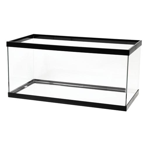 Aqueon Standard Aquarium - Black Frame - 40 gal Breeder - Clear Silicone 36" x 18" x 16" Does NOT Ship