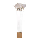 Cat Love Jumbo Ostrich Feather Wand