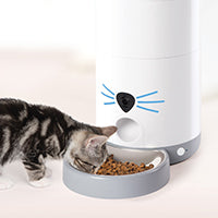 Catit PIXI Vision Smart Feeder with Camera