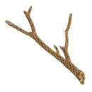 Galapagos Cholla Tree Branches & Wood Assorted sizes