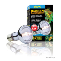 Exo Terra Halogen Basking Spot - 50 Watt