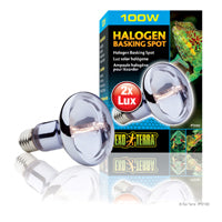 Exo Terra Halogen Basking Spot - 100 Watt