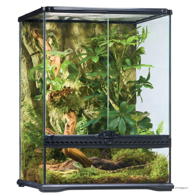 Exo Terra Tall Terrarium - Small - 45 x 45 x 60cm, 18in x 18in x 24in