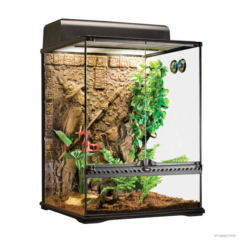 Exo Terra Tall Terrarium - Small - 45 x 45 x 60cm, 18in x 18in x 24in