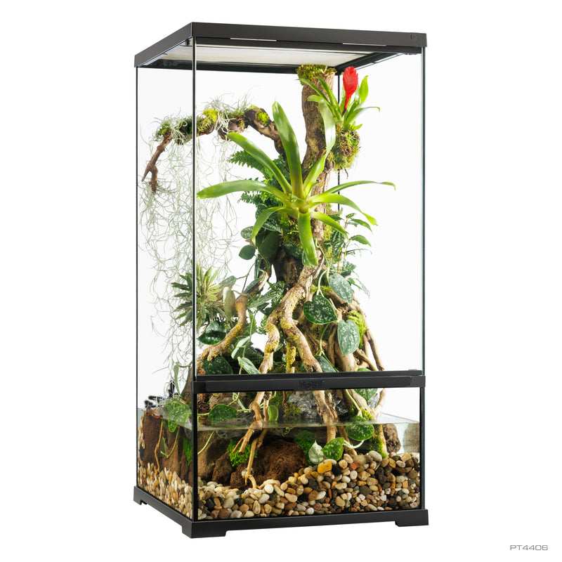 Exo Terra Pro Paludarium Advanced Natural Terrarium - Small-X-Tall - 45 x 45 x 90 cm