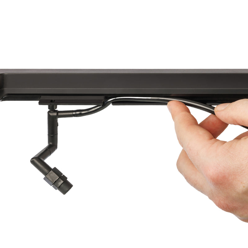 Exo Terra Pro Paludarium Advanced Natural Terrarium - X-Small-X-Tall - 30 x 30 x 60 cm