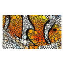 Flipper Aquarium Mat - Clownfish