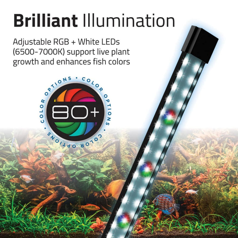 Fluval Flex 2.0 Aquarium Kit, 34 L (9 US gal)