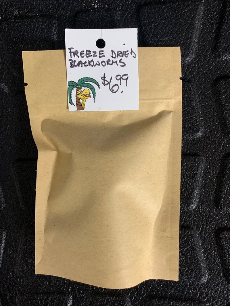 Freeze Dried Blackworms 10 Grams