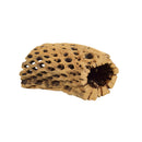 Galapagos Small Cholla Tunnel - Small - 4"