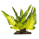 GloFish Glow Plant Yellow Fern