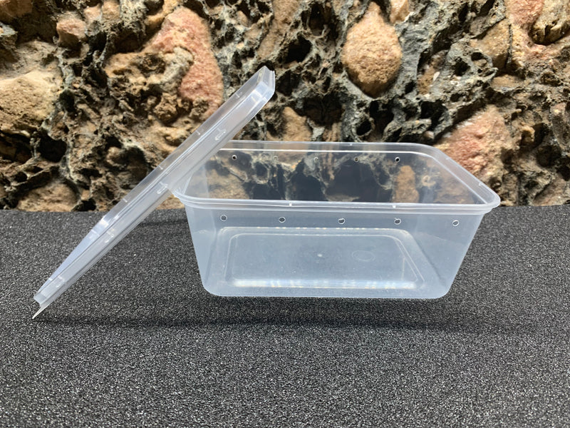 INSECT CONTAINER - PUNCHED DELI WITH LID, OPAQUE - 5" X 7"