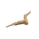Jurassic Desert Wood approx - 13" - 16" Length