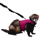 KAYTEE COMFORT HARNESS & STRETCHY LEASH LARGE